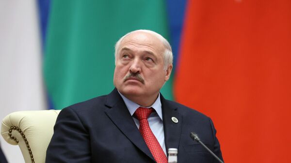 Лукашенко высказался за страновые планы сотрудничества с государствами СНГ - Sputnik Молдова